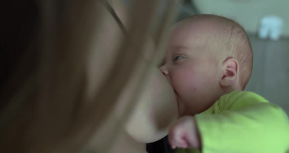 Close View of Breastfeeding of Little Baby Born