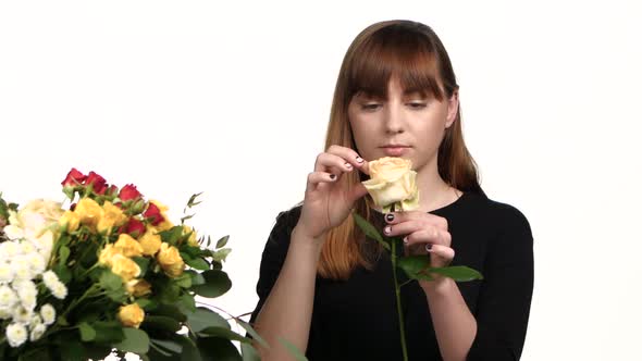 Florist Manufactures a Bouquet of Roses. White. Close Up