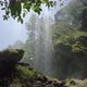Waterfall in the Wild Forest - VideoHive Item for Sale