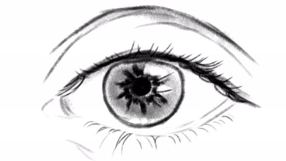 Eye Blinking Animation