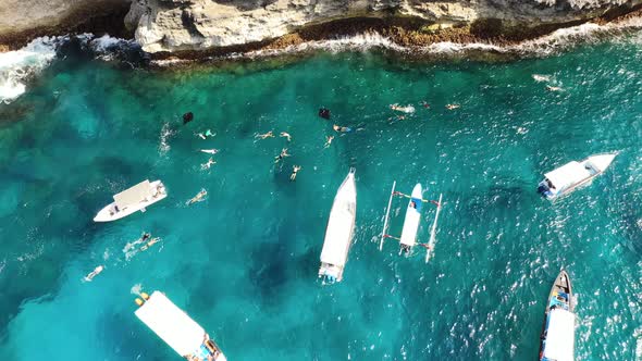 Aerial View of Manta Rays Group