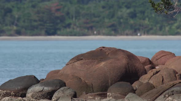 Heatwaves over rocks in rainforest bech  scenery