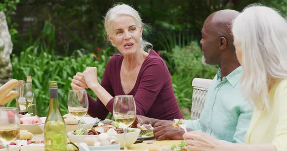 Animation of diverse happy senior female and male friends eating lunch in garden