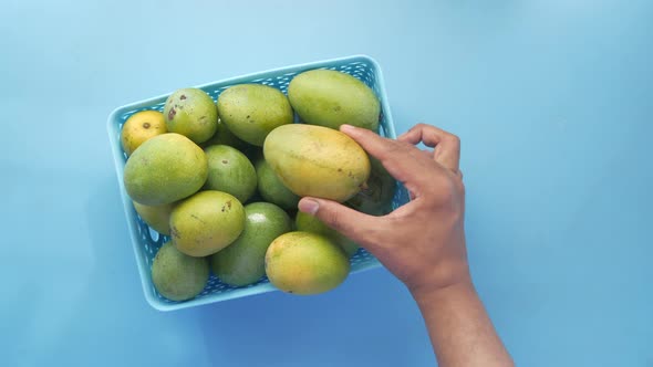 Hand Pick Fresh Green Mango in a Bowl on Table