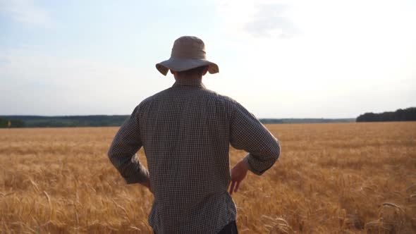 Close Up of Male Farmer Standing in Wheat Field and Looking at Golden Plantation. Young Agronomist