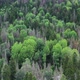 Aerial view on the Beautiful mountains forest - VideoHive Item for Sale