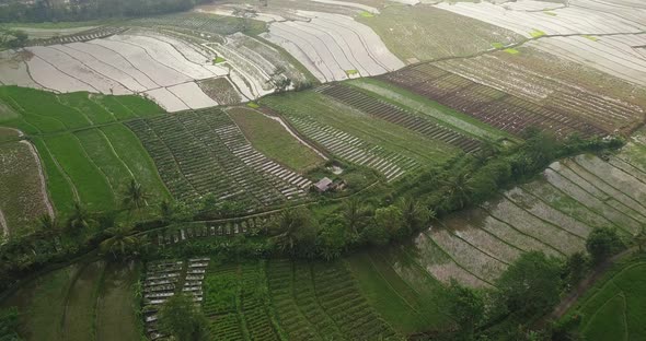 Descending aerial view of over flooded rice fields during cloudy day after storm in Indonesia