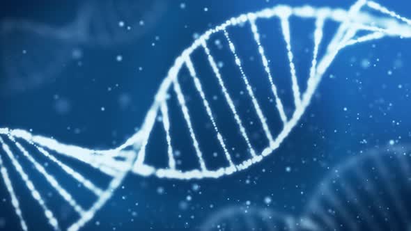 Double Helix Dna Strand