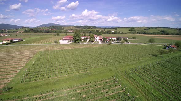 Aerial View Italy Vineyard, Sunny Weather and Blue Sky