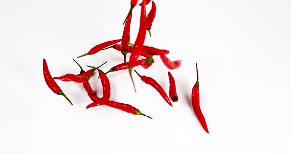 Red Chili Peppers, capsicum annuum falling against With Background, Slow Motion 4K