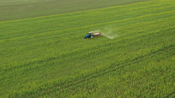 Aerial View of Tractor Sprays Fertilizer on Agricultural Plants on the Rapeseed Field