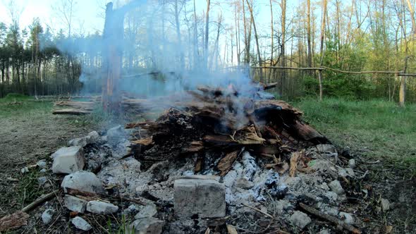 Flames Of A Burning Fire On A Background Of Summer Forest. Hiking. Tourism. Travel. Lifestyle