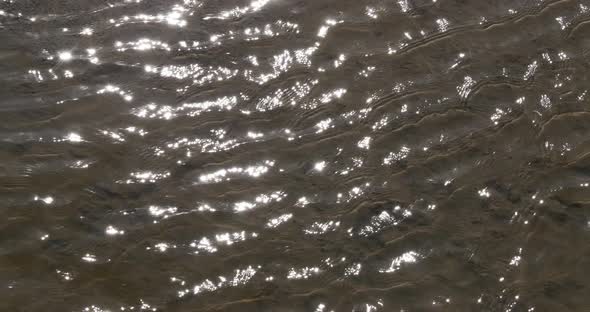 Water in the Marshes of Camargue, in the South East of France, Real Time 4K