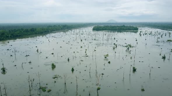 Aerial Footage Of Square​ Lake In Angkor Wat Cambodia