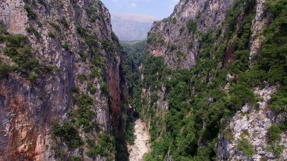 Greenery on Cliffsides in Albania