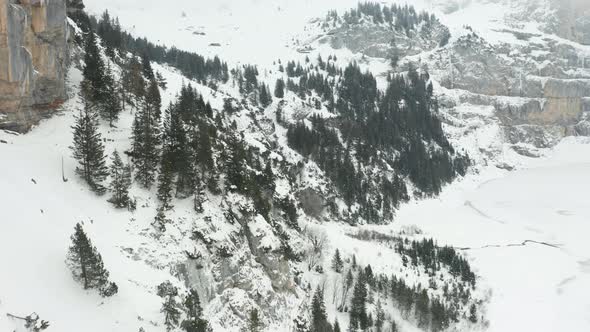 Aerial of pine trees standing on snow covered mountain side