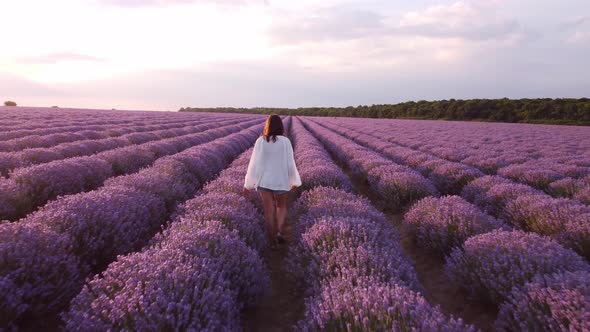 Back Side of Woman in White Shirt Walking in Beautiful Lavender Field