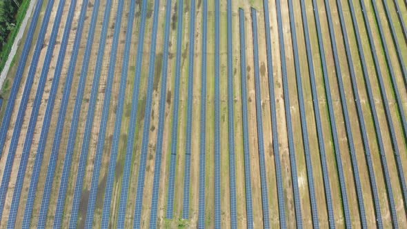 Aerial Top View on Solar Power Station in Green Field on Sunny Day. Solar Farm