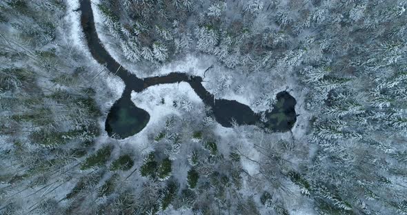 Fresh Water Springs and River in Snowy Winter Forest Aerial Top Down View
