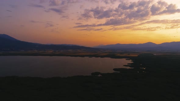 Sunset and Birds Flying