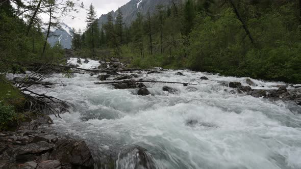 The mountain river flows among the rocks