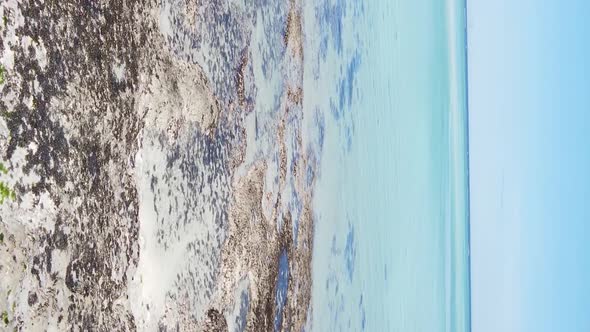 Zanzibar Tanzania  Vertical Video of the Ocean Near the Coast Slow Motion