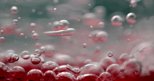 Purple Bubbles in Water. Close-up Video of Bubbles in Liquid. 