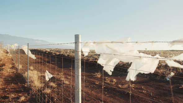 Human Plastic Waste Flying on Wind Ecology Disaster Hawaii Nature Pollution