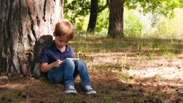 Cute Boy Spends Time Playing in the Tablet, Sitting By a Tree in the Park or Forest. Technologies