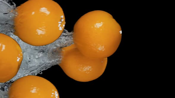 Fresh Juicy Oranges are Bouncing From Water with Splashes on Black Background