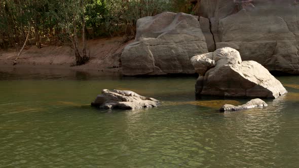 freshwater crocodile sunning itself on a rock at katherine gorge