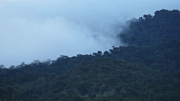 Timelapse of Costa Rica Landscape, Nature Time Lapse of Misty Valley and Low Lying Clouds and Mist M