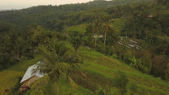 Jatiluwih Rice Terraces on Bali, View From Above. Aerial Drone  Footage