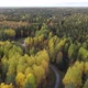 Summer Early Autumn in Forest Aerial Top View - VideoHive Item for Sale