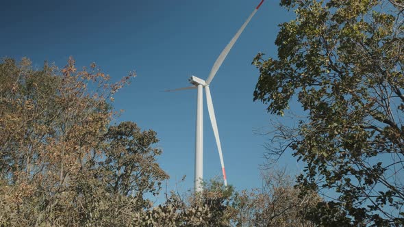 Wind Turbine in a Drifting State Against the Background of Tree Branches