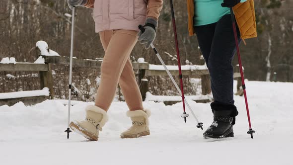 Two Women Are Engaged in Nordic Walking in Winter