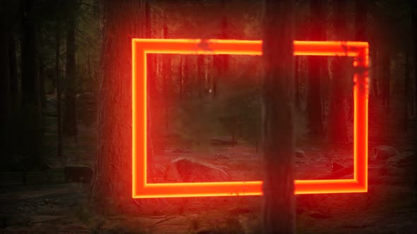 Neon Glowing Rectangle Frame in the Night Forest alt