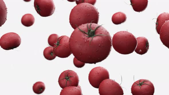 Falling Tomatoes with Water Drops on a White Background