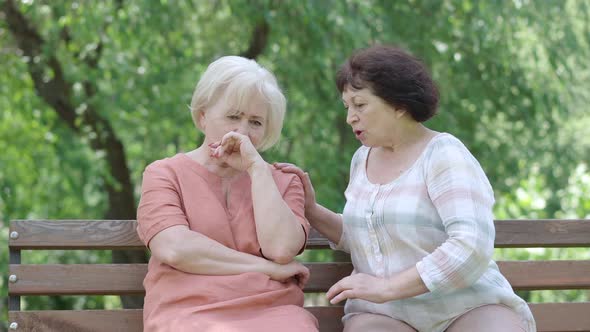 Caring Senior Woman Calming Down Friend Sitting on Bench in Summer Park. Portrait of Caucasian