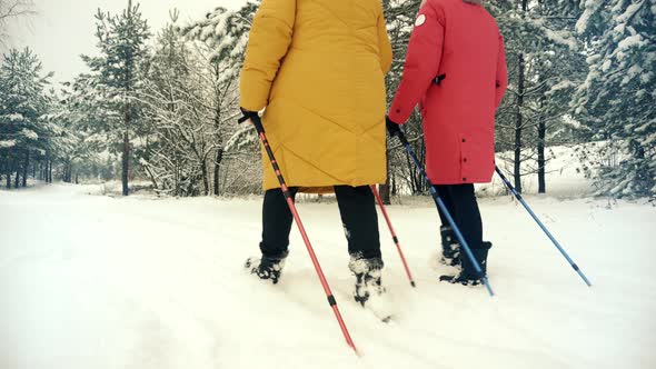 Woman Practicing Nordic Walking In Forest. Sticks Walking On Winter Wood. Sport Activities Healthy.