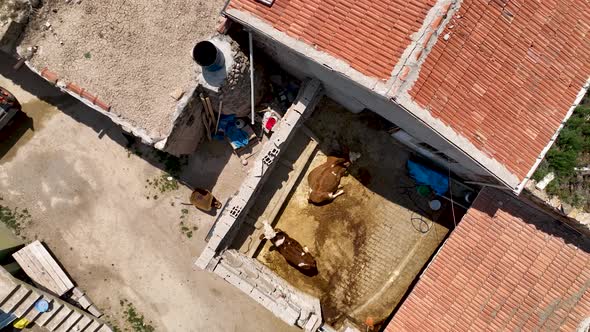 Small farming village in Turkey aerial view 4 K