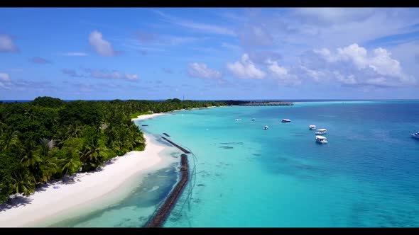 Aerial drone shot sky of marine bay beach wildlife by shallow ocean and white sandy background of a 