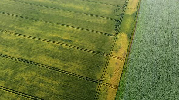 Aerial Drone View Flight Over Different Agricultural Fields