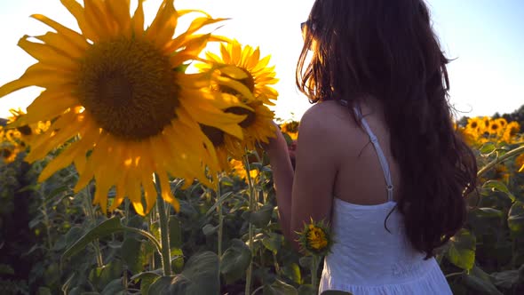 Young Girl with Bouquet of Flowers in Hands Walking Along Sunflowers Field. Sun Shine at Background