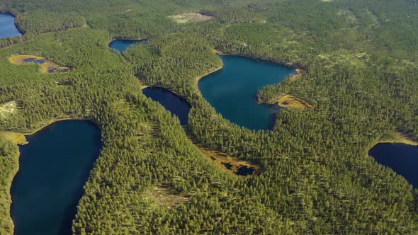 Lake and Forest in Finland