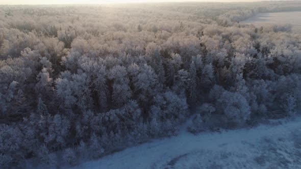 Winter Landscape Countryside