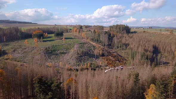 aerial deforested landscape, harvested forest 