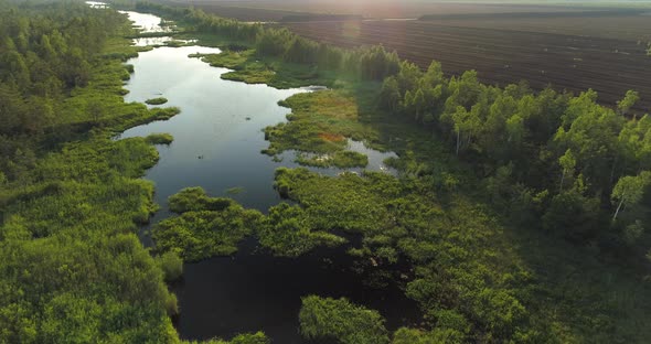 Aerial View of Bog Forest with Lake and Peat Harvesting Field Next To It