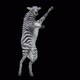 39 Zebra Dancing HD - VideoHive Item for Sale
