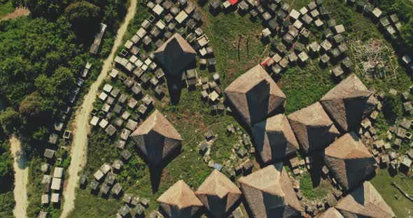 Top Down of Unique Village with Straw Roofs Houses at Green Valley Aerial View